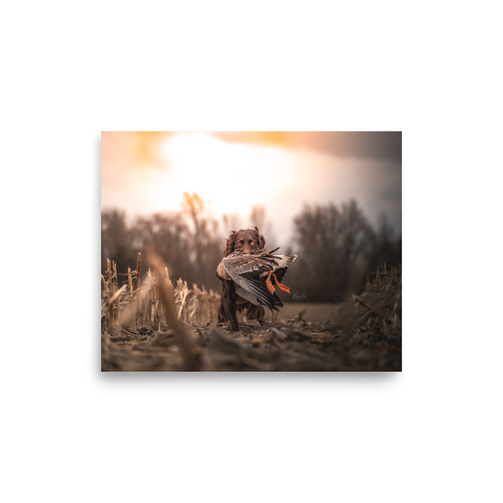 "Speck-tacular Sunrise" Enhanced Photo Paper