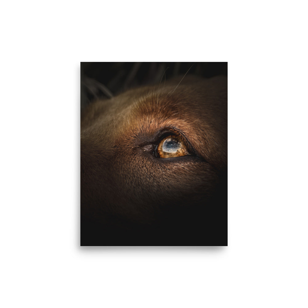 "Eyes to the Sky" Enhanced Photo Paper