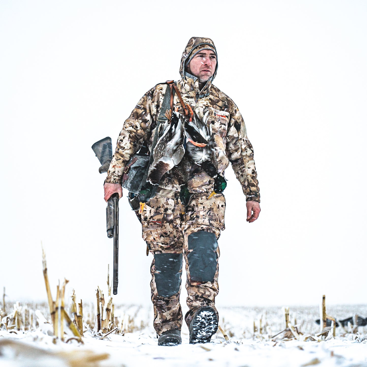 “Whiteout” Preset 1