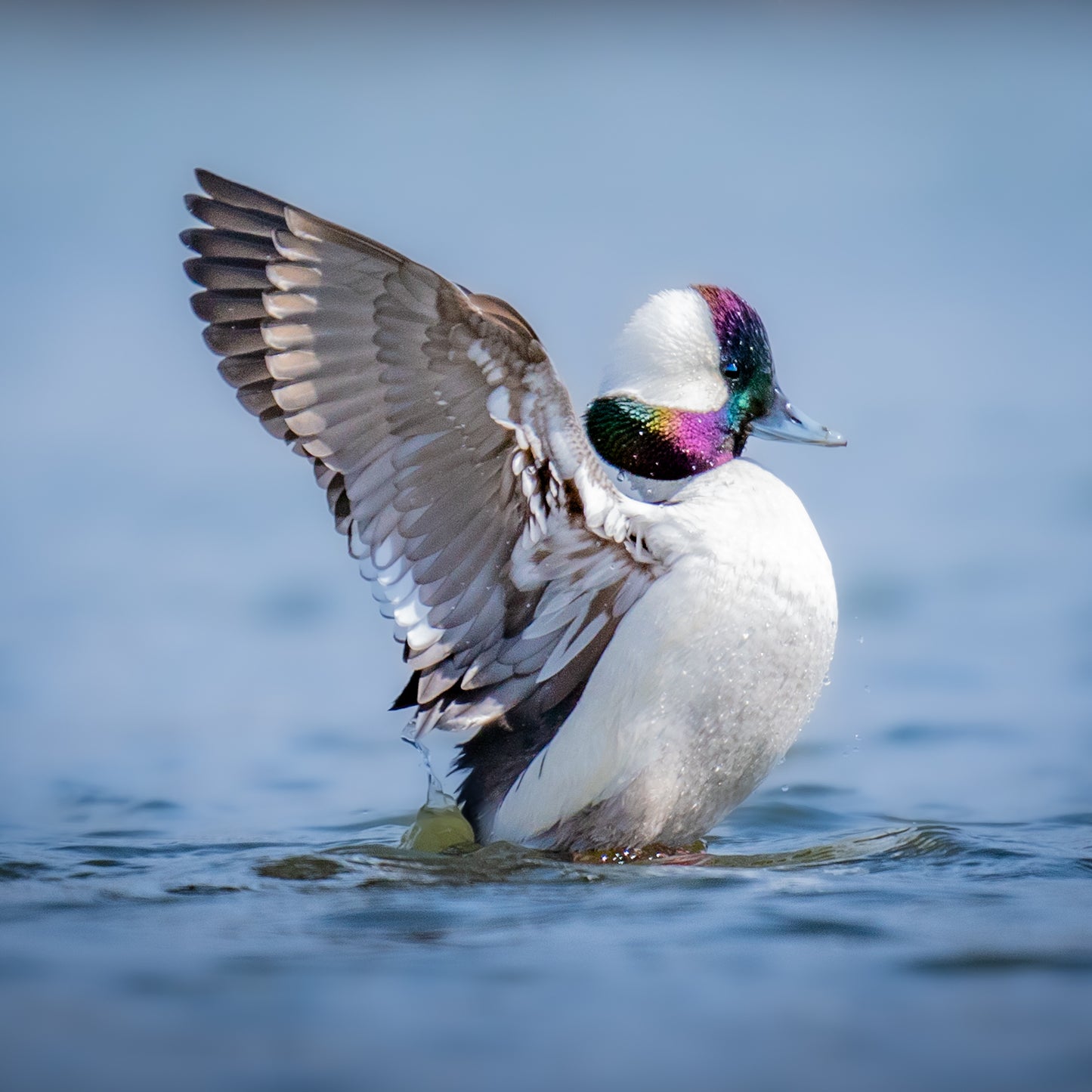 “Bright + Vibrant” Preset 1