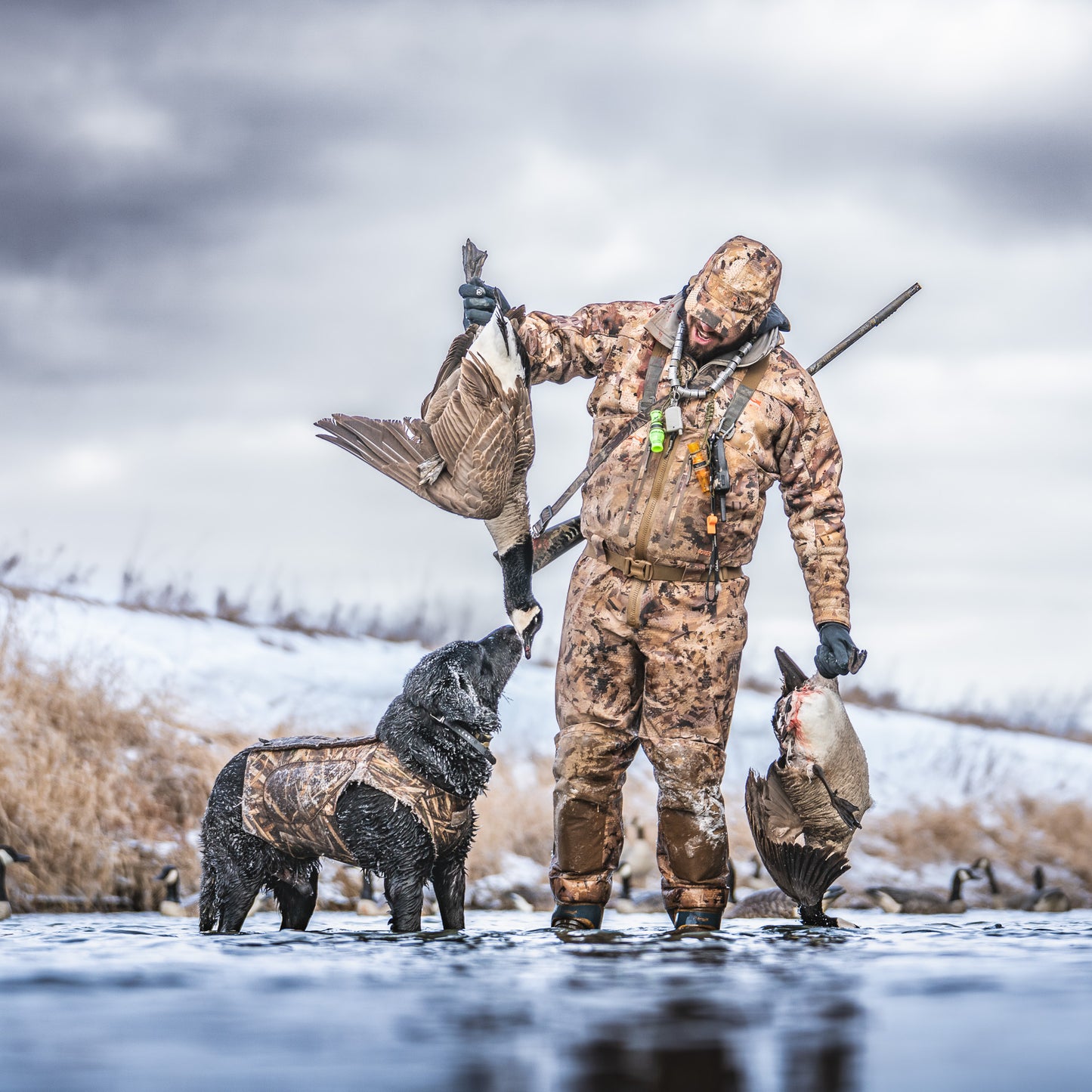 "Bright + Cool” Preset 1