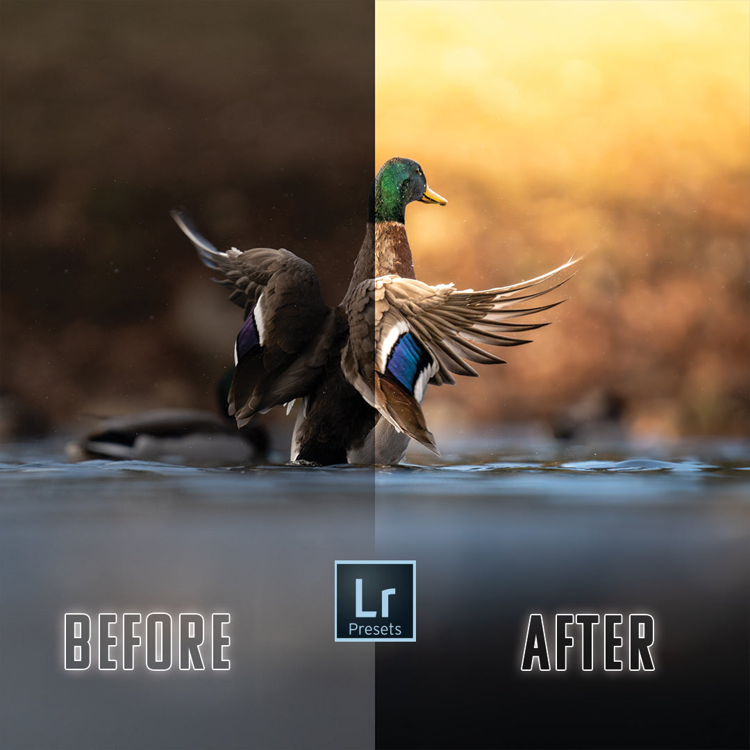 “Vibrant Mallard” Preset 1