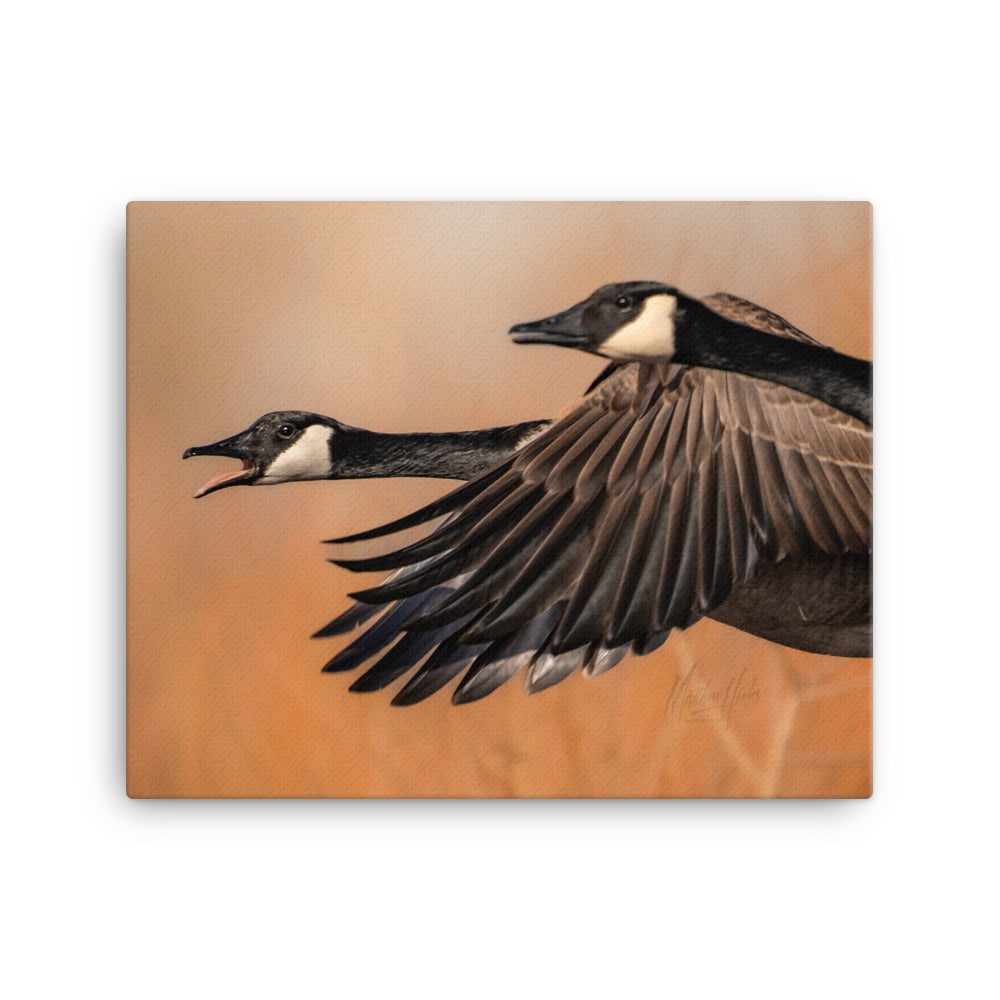 “Double Trouble” Canvas Print