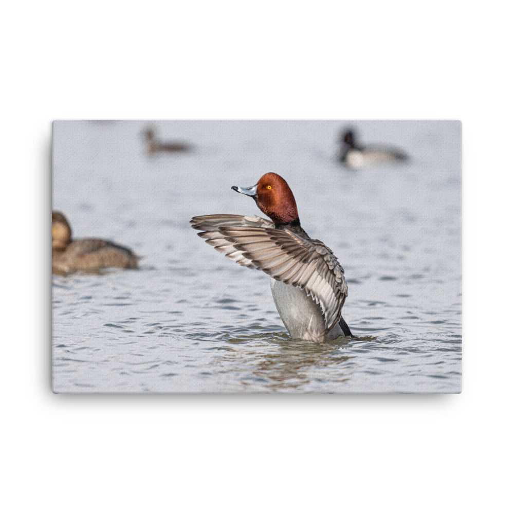 “Spring Time Redhead” Canvas Print