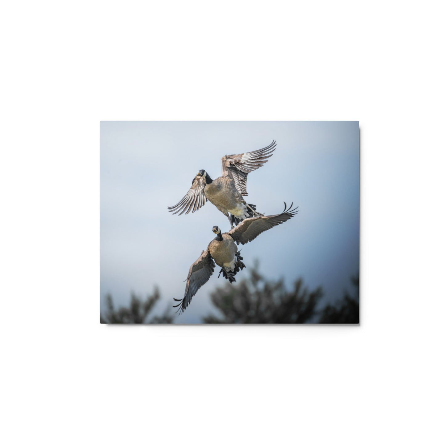 “Double Stack” Metal Print