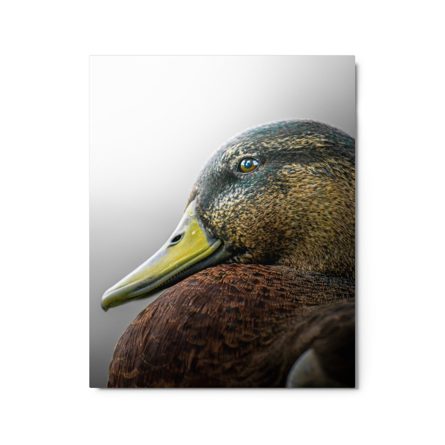 "Summertime Mood" Metal Print