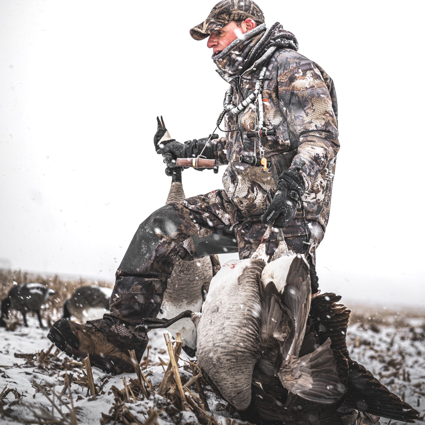 “Winter” Preset 1