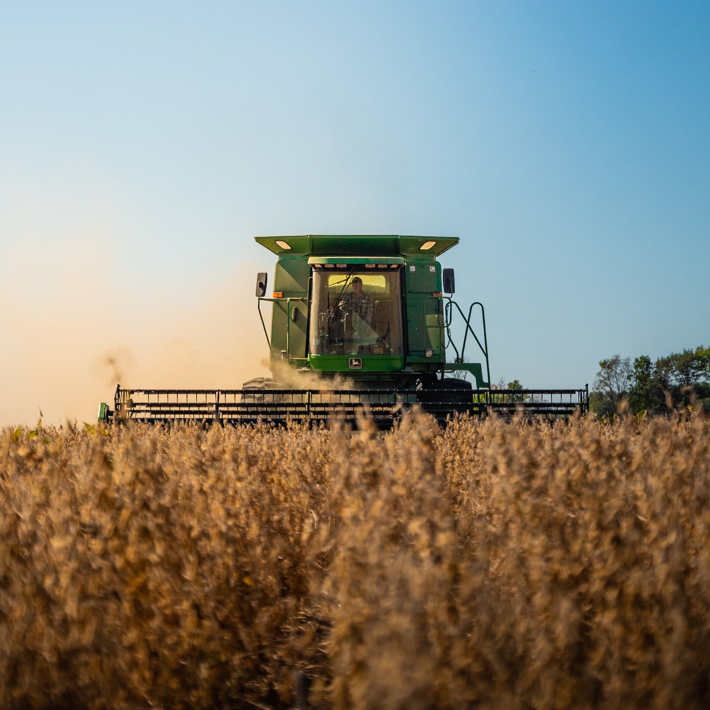 “Harvest” Preset 1