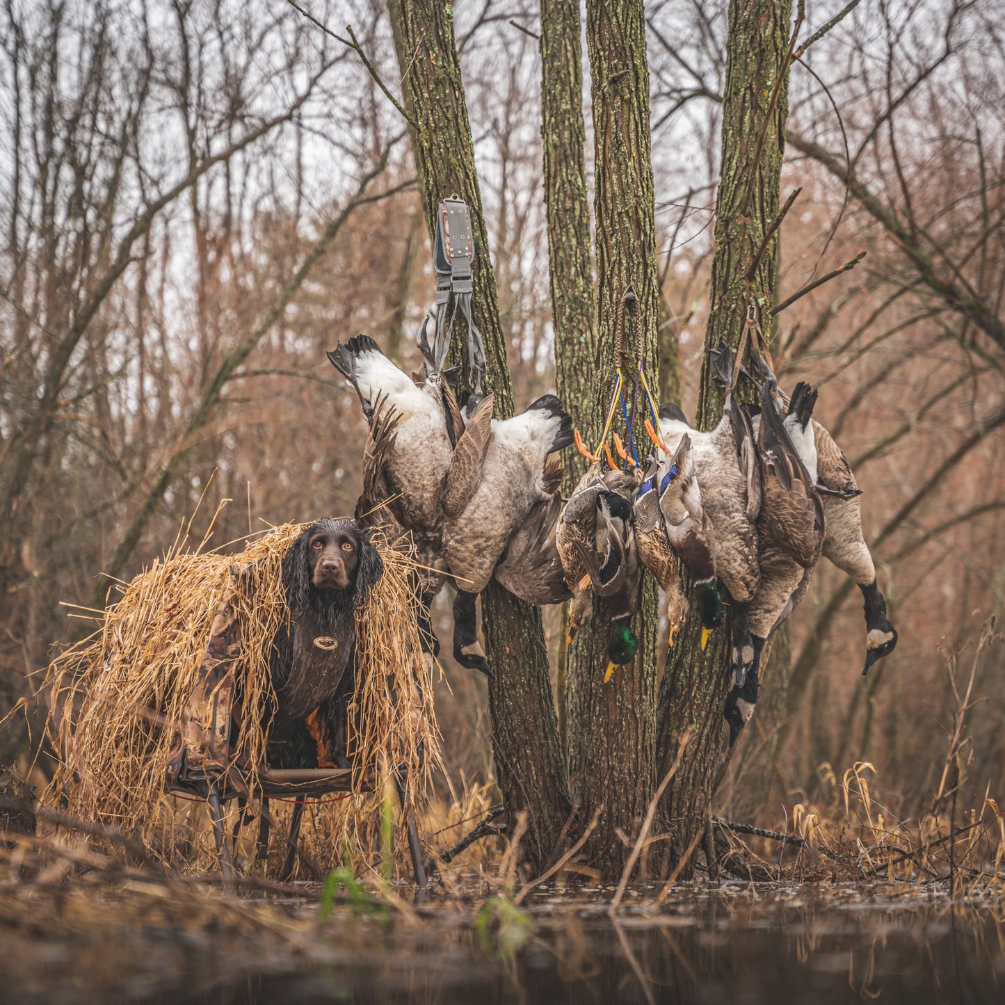 “Timber” Preset 1