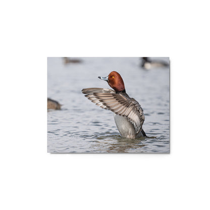 “Spring Time Redhead” Metal Print