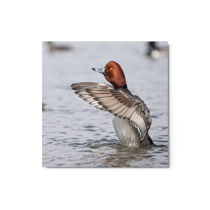 “Spring Time Redhead” Metal Print