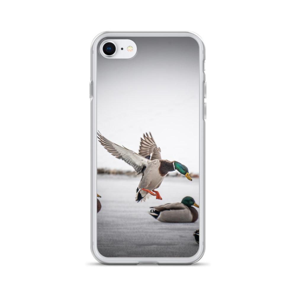 Late Season Mallard” iPhone Case – Matthew Hicks Photography Late Season Mallard” iPhone Case – Matthew Hicks Photography
